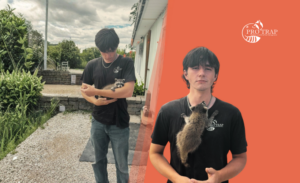 Ontario Wildlife Removal Laws - Pro Trap Wildlife & Pest Management - Pro Trap Wildlife & Pest Management Ontario Wildlife Removal Laws